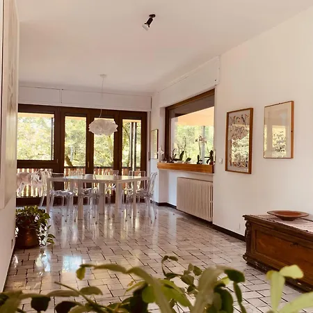 Fiorentino